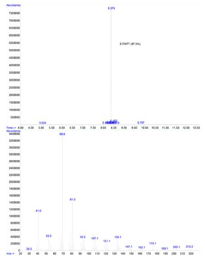 GC-MS trace of the current Z-TMTT batch