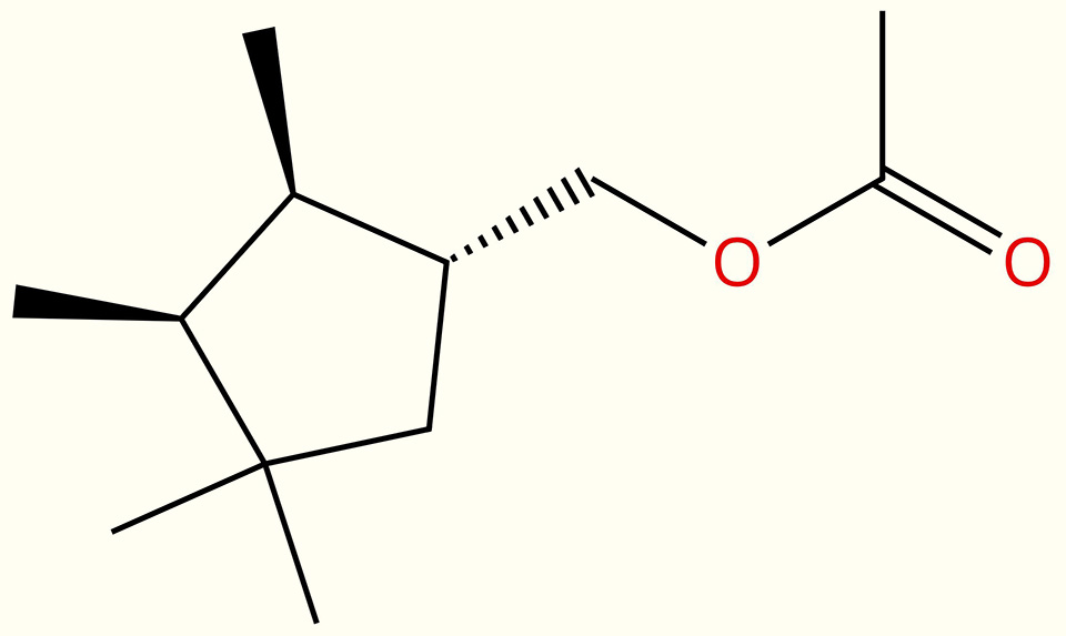 Pseudococcus viburni