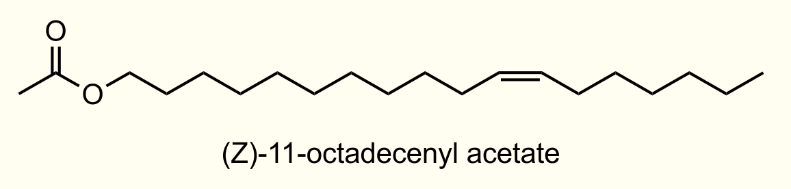 cis Vaccenyl acetate