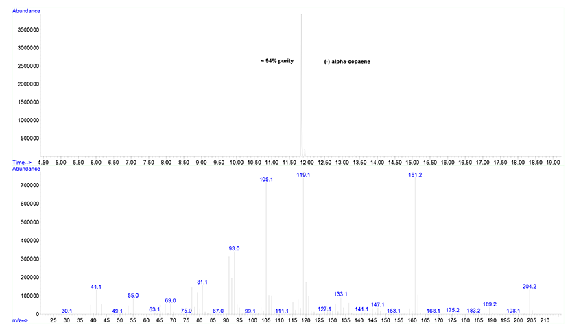 GC-MS trace of the current (-)-α Copaene batch