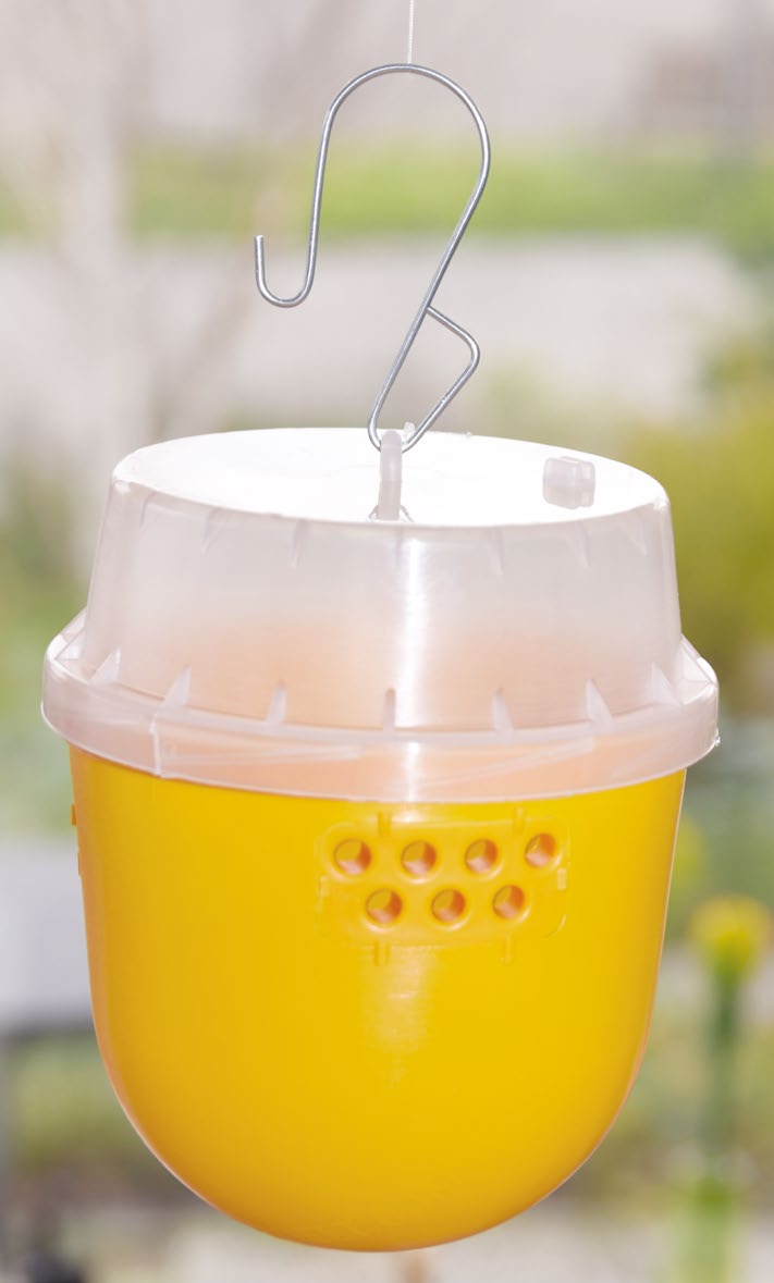 Pheromone fly store traps