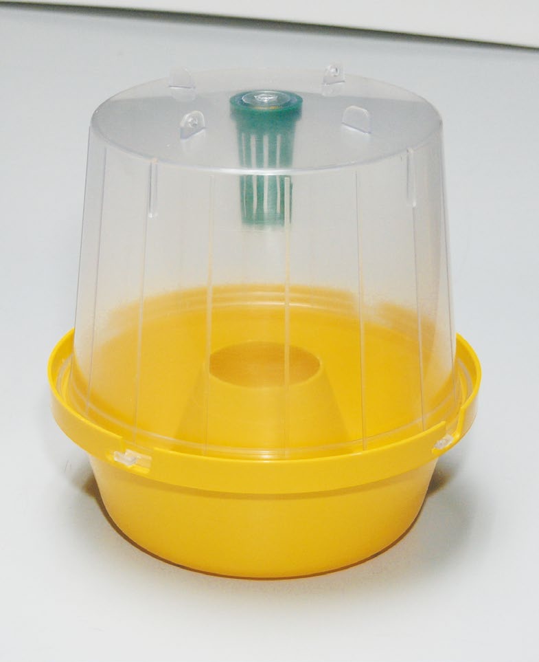 Pheromone fly traps deals